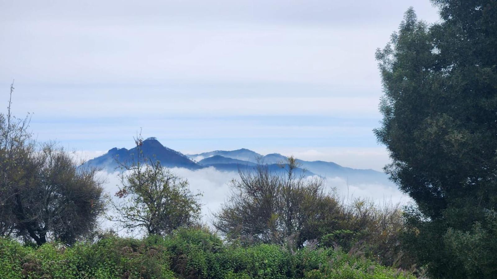 Fabhotel Tranquil Heights Kodaikanal Luaran gambar